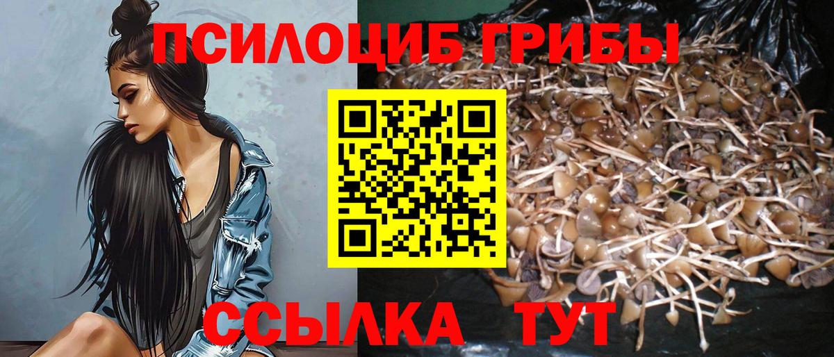 Гусев  Галлюциногенные грибы Psilocybe  Псилоцибиновые грибы ЛСД  Вход с VPN 